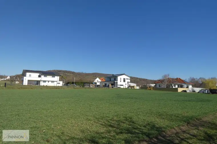 DIE NATUR VOR DER HAUSTÜR