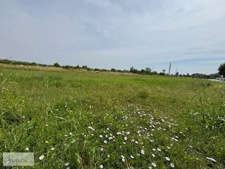 Sonniges Baugrundstück in ruhiger Lage in Purbach