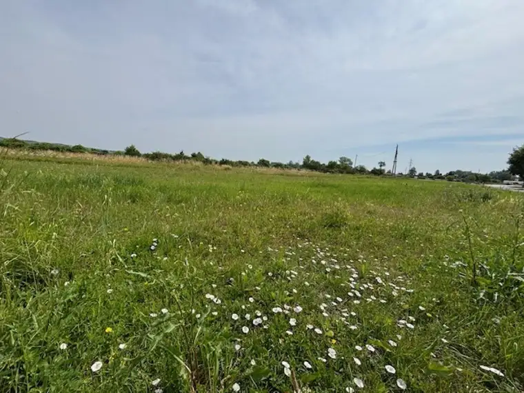 sonniges Baugrundstück in ruhiger Lage in Purbach