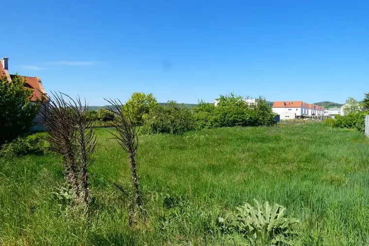 WOHNEN AM RANDE SCHÖNER NATUR GRÜNRUHELAGE