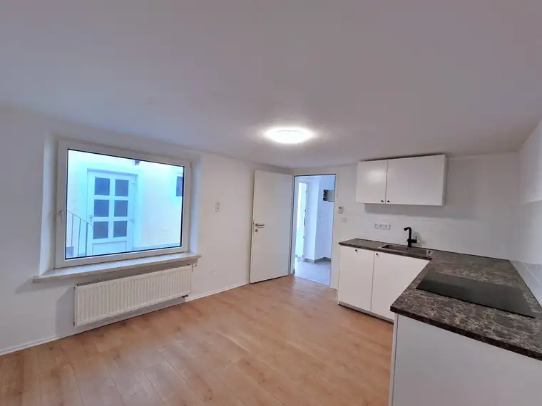 Zentral und stilvoll wohnen: Neu sanierte 2- Zimmer-Wohnung in Graz Geidorf