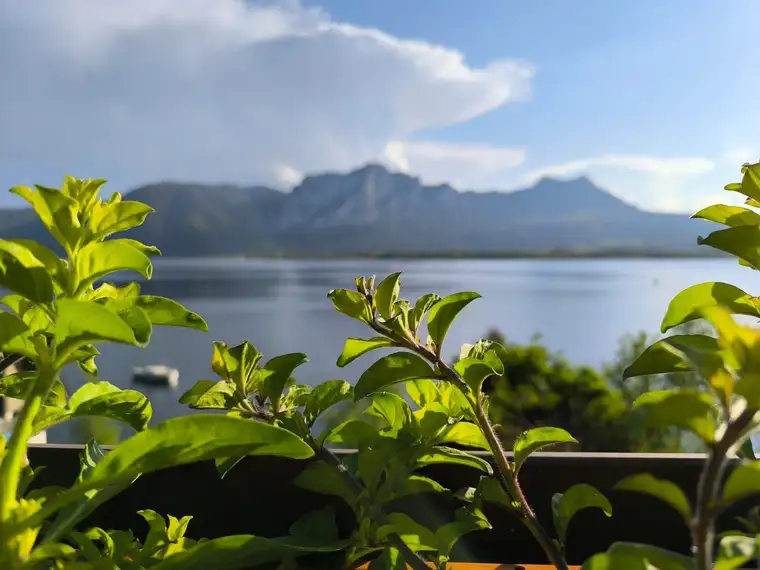 Ein Haus. Ein See. Ein Traum(blick). Zwei Wohneinheiten - Wohnen &amp; Vermieten oder Zweifamilienhaus 