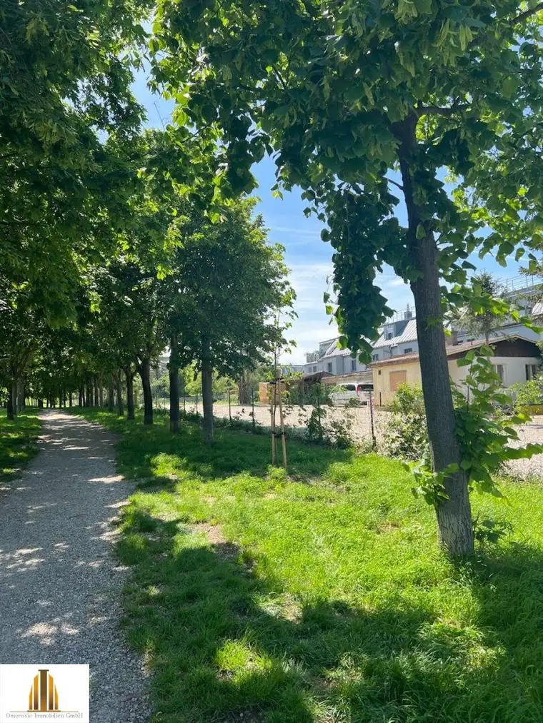 4299m2 großes Grundstück mitten im Stadt!