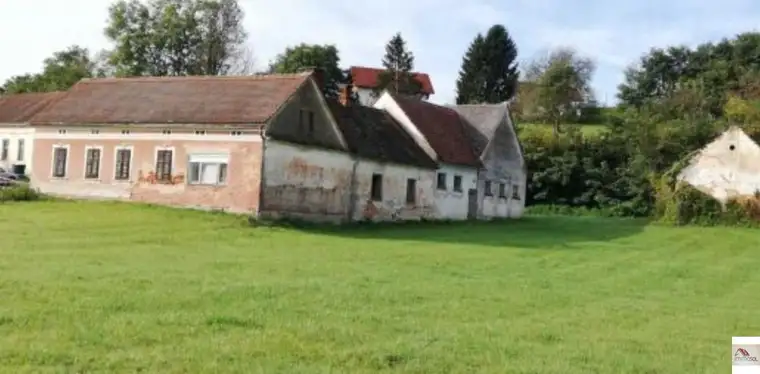 Ca. 5.500 m2 Grund mit Altbestand-mach uns ein Angebot