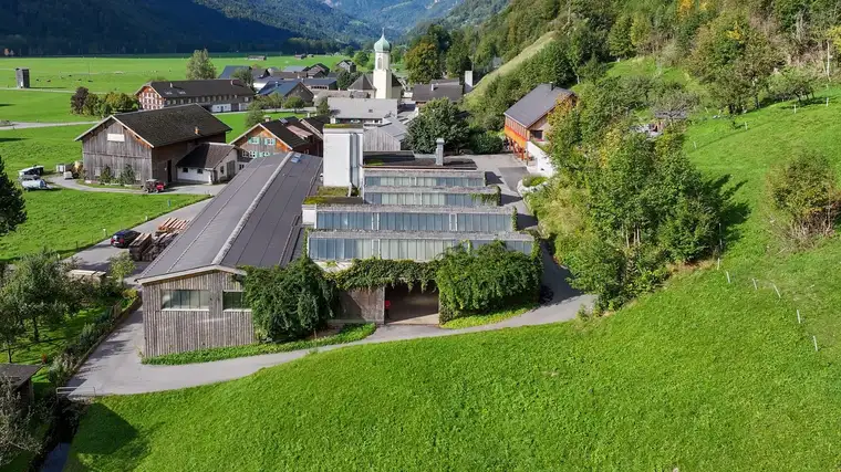 Schnepfau Großzügige, sehr vielseitige Gewerbefläche