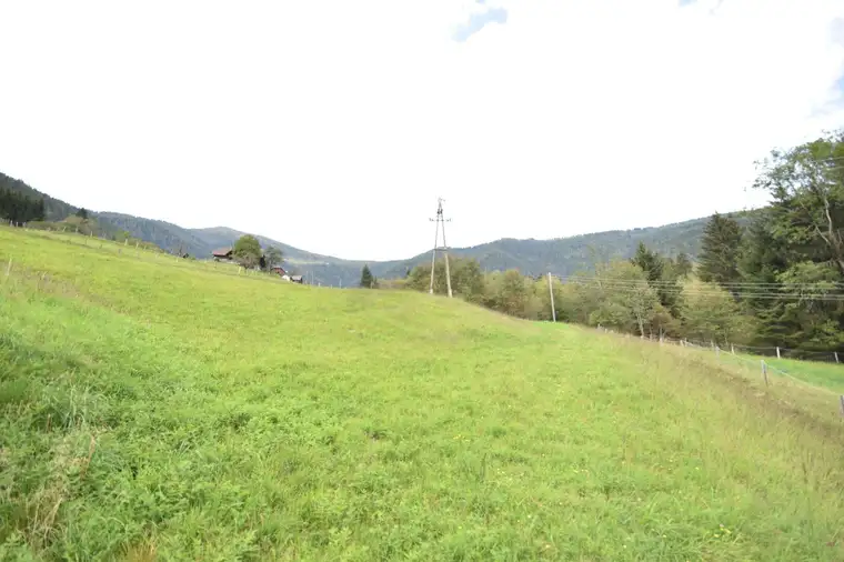 "Traumhaftes landwirtschaftlich genutztes Grünland nahe der Gerlitzenalpe"