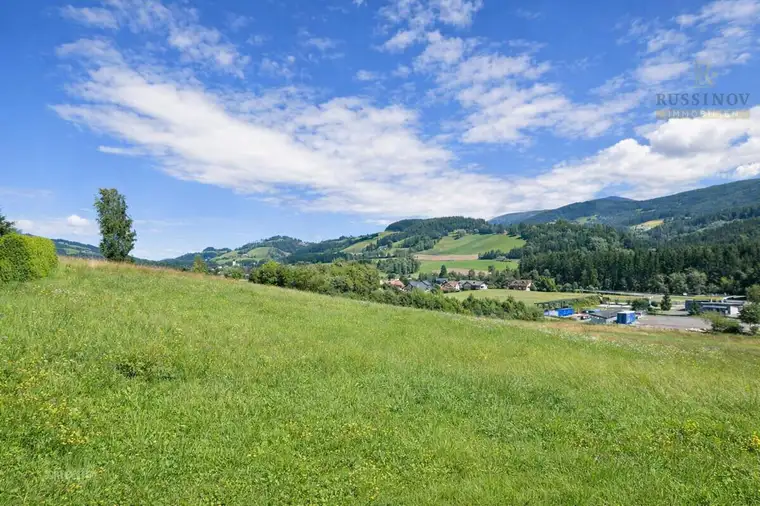 Mag. Theodor Russinov, Russinov Immobilien KG