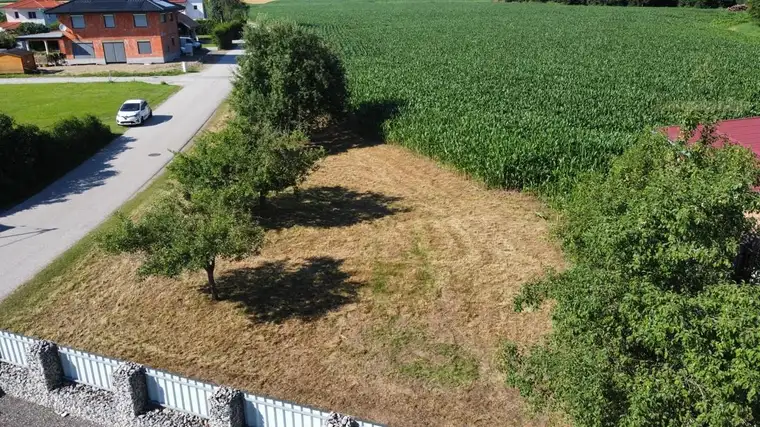 Sonniges Grundstück für Schrebergarten