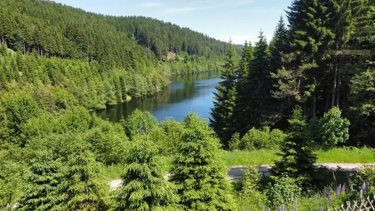 Naturjuwel am Soboth-Stausee in Alleinlage