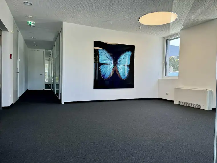 Attraktive Büro- und Ordinationsfläche