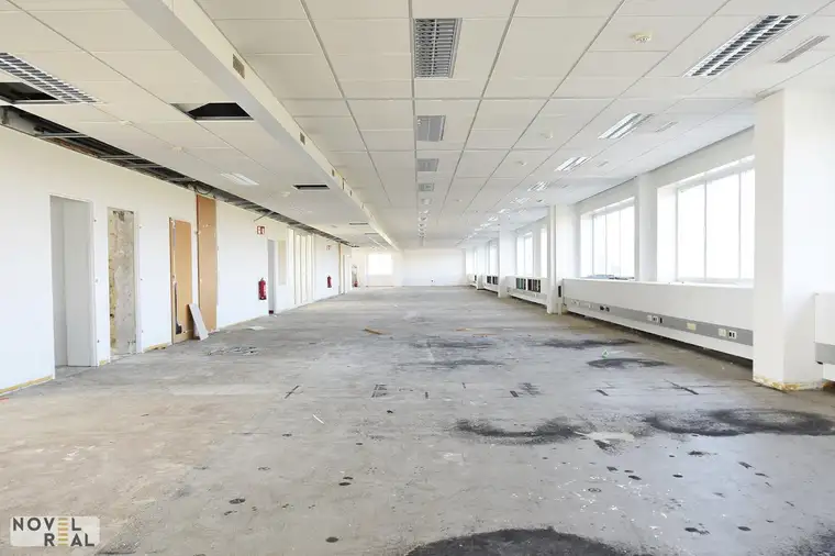 Moderne Gewerbefläche in Wiener Neudorf