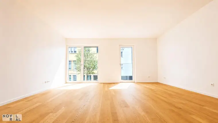 Tatiana Hanzl, Novel Real Immobilien GmbH