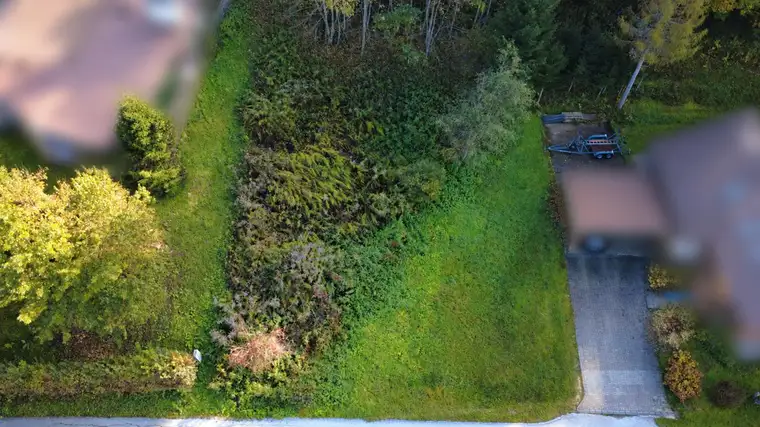 Ihr neues Zuhause zwischen Wald und See – Baugrundstück in Keutschach-Raunach!