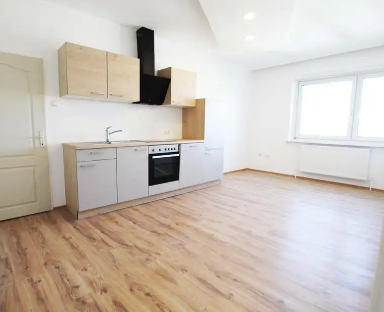 Sanierte 3-Zimmer-Wohnung in Wels – Ideales Renditeobjekt nahe FH Campus zu KAUFEN