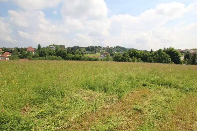1018 m² Grundstück in einer ruhigen Siedlung in 4760 Raab zu kaufen!