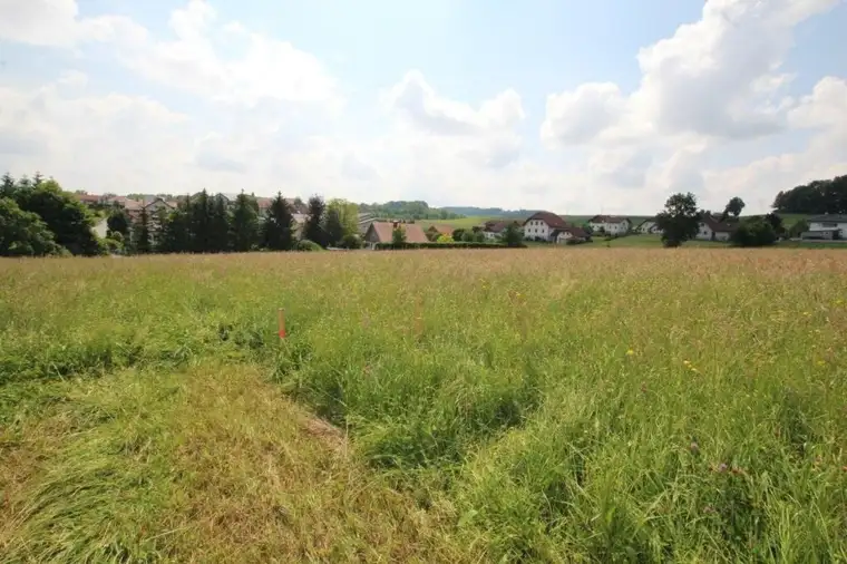 1417 m² Grundstück in einer ruhigen Siedlung in 4760 Raab zu kaufen