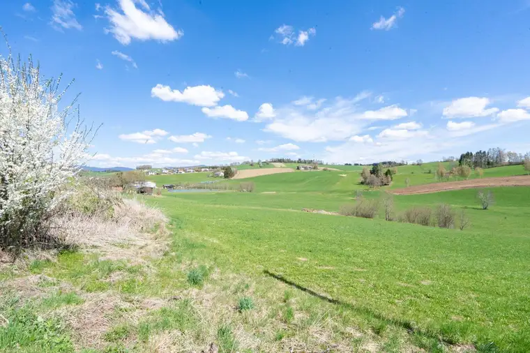 Landwirtschaftlicher Nutzgrund in Heinrichsberg ZU KAUFEN