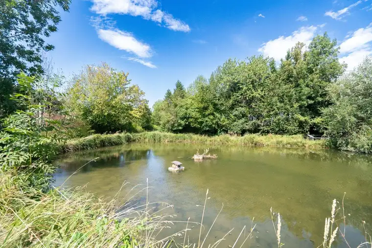 Naturidylle in Neuhofen an der Krems – Grundstück mit eigenem Fischteich