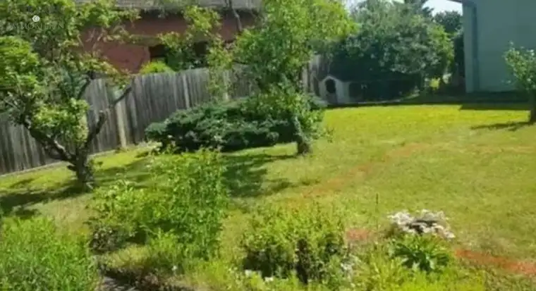 Eigene Ideen wie Sie wohnen möchten? Dann bauen Sie Ihr Traumhaus auf diesem sonnigen Baugrund!