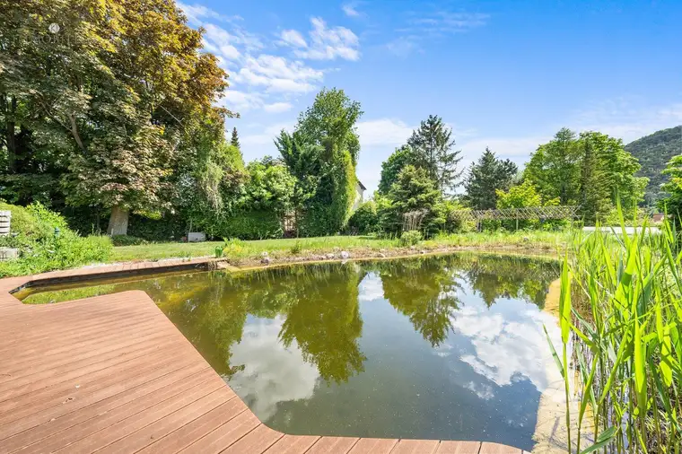 Top Jugendstil-Villa mit Schwimmteich - perfekt für große Familie, für 2 Familien, für wohnen und arbeiten