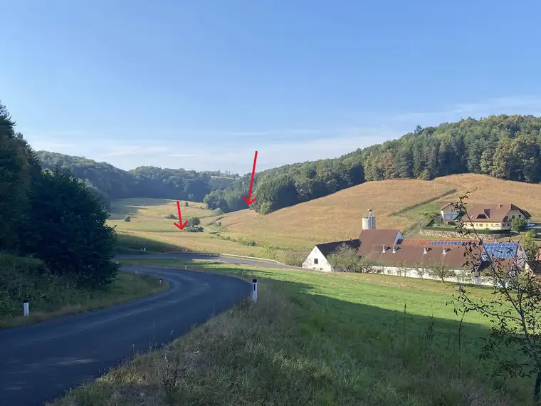 Landwirtschaftliche Flächen (3,79 ha-vorrangig Ackerland) in Altenmarkt b. Riegersburg zu VERKAUFEN