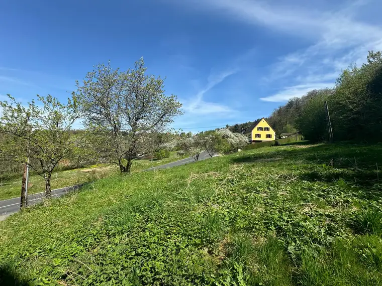BAUPLATZ 1.046m² in Erbersdorf/Gemeinde Eichkögl