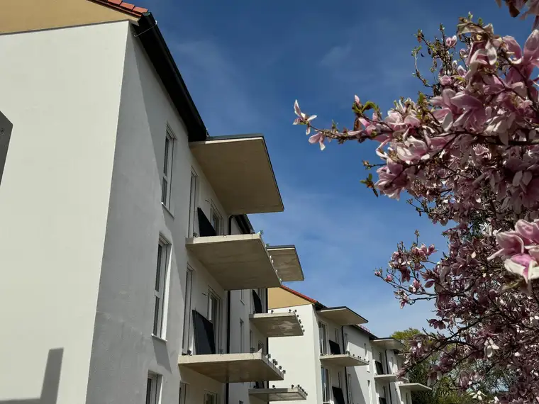 2-Zimmer Wohnung (48,59 m²) mit sonnigem Balkon in Lieboch
