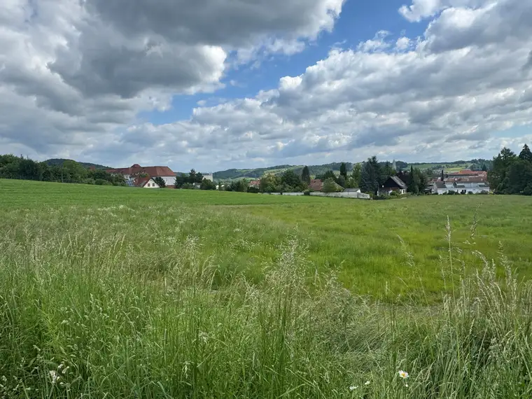 Einzigartiges Grundstück (ca. 9.000 m² davon ca. 7.500 m²) in Feldbach - Nähe Kalvarienberg/LKH
