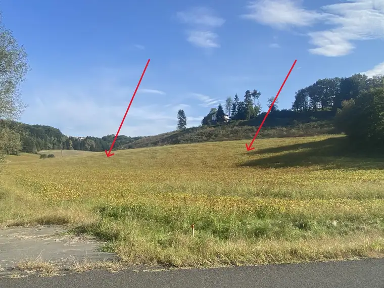 Landwirtschaftliche Flächen (8 ha-vorrangig Ackerland) in Altenmarkt bei Riegersburg zu VERKAUFEN