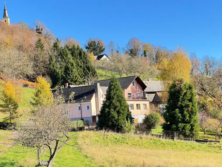 Einfamilienhaus mit Gastronomie- und Gewerbeflächen – vielseitiges Anwesen in Kapfenstein