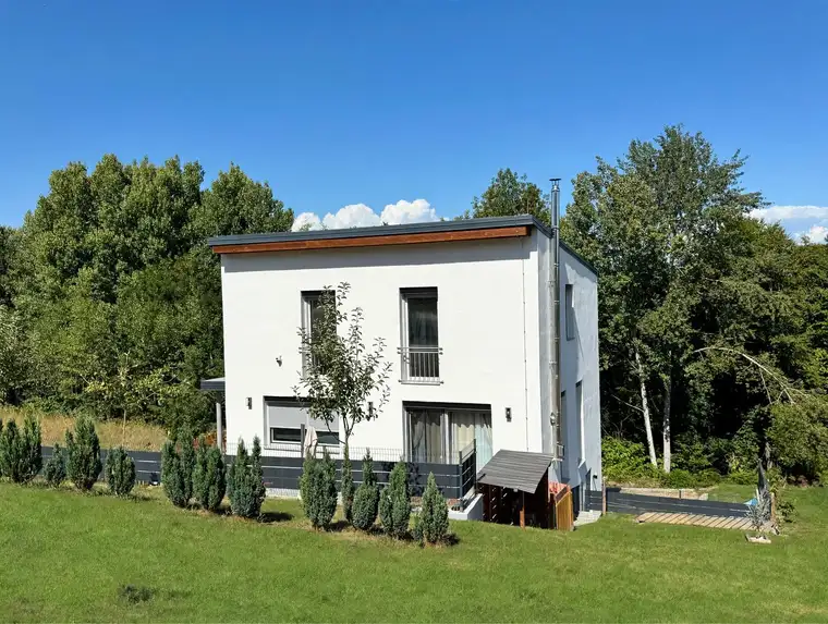 NEUWERTIG: Modernes Einfamilienhaus (ca. 146 m²) mit Garten (773 m²) in Nestelbach bei Graz