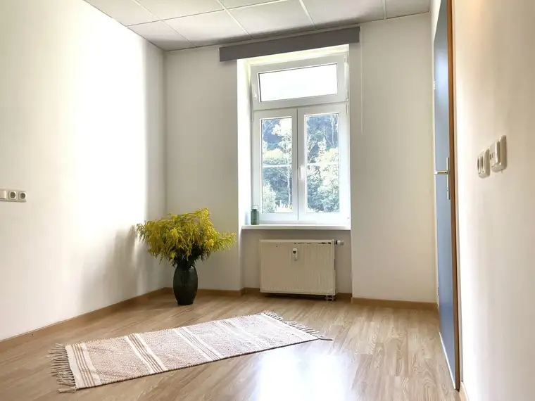 GUTE NACHBARSCHAFT | 10 MIN BIS BRUCK | 2-ZIMMER