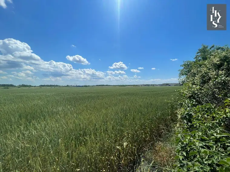 BETRIEBSGEBIET-GRUNDSTÜCK IN HAGENBRUNN!