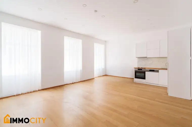 Ehsan Karimian, Immocity Real Estate GmbH