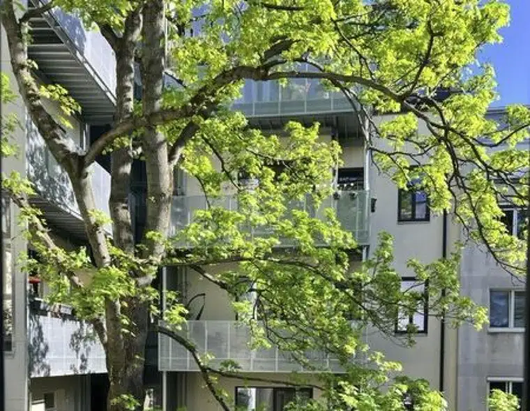 Moderne Singlewohnung mit großem Balkon - sanierter Altbau - 1170 Wien