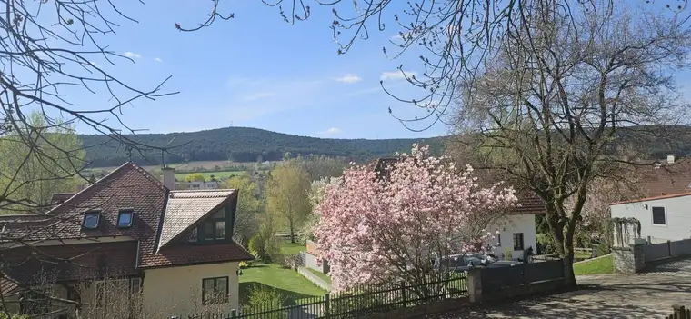 Traumhaftes Grundstück (> 2.000m²) mit Fernsicht in Markt Piesting - Doppelgarage &amp; KG bereits vorhanden - TOP Preis