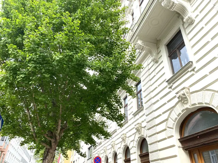 SCHICKE ALTBAUWOHNUNG MIT MODERNEM WOHNKOMFORT - ERSTBEZUG NACH SANIERUNG