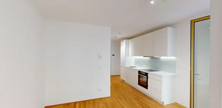 Neubauwohnung zu vermieten: Garconniere / 1 Zimmer Wohnung