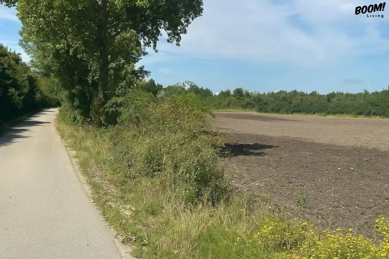 Traumhaftes Baugrundstück in Illmitz – Ihr neues Eigenheim auf Eigengrund!