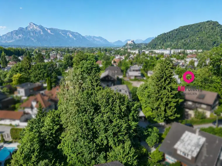 Mag. Simone Wolf MBA, AM PUNKT Immobilien GmbH