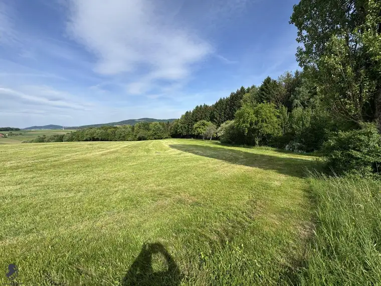 Zum Verkauf steht ein zusammenhängendes Landwirtschafts- und Waldgrundstück mit Holzhaus