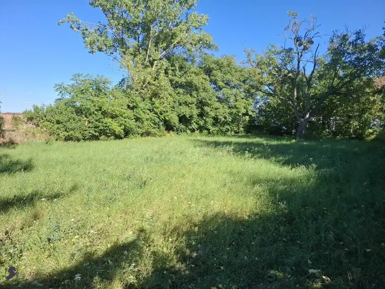 Baugrundstück in Waltersdorf an der March – 893 m² Bauland