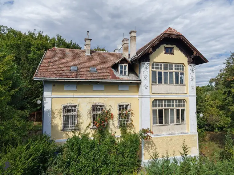 Villa mit Geschichte &amp; Zukunft – Hinterbrühl bei Wien