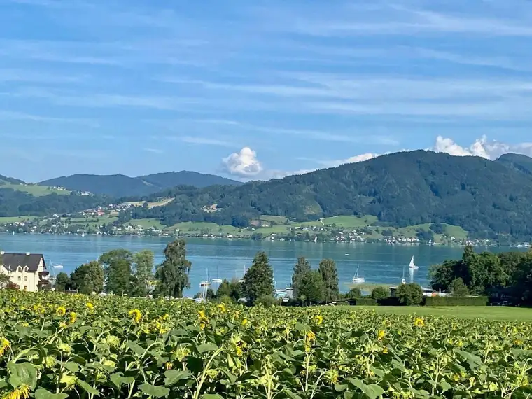 Baugrund in herrlicher Aussichtslage am Attersee mit Baugenehmigung 9 Wohnungen