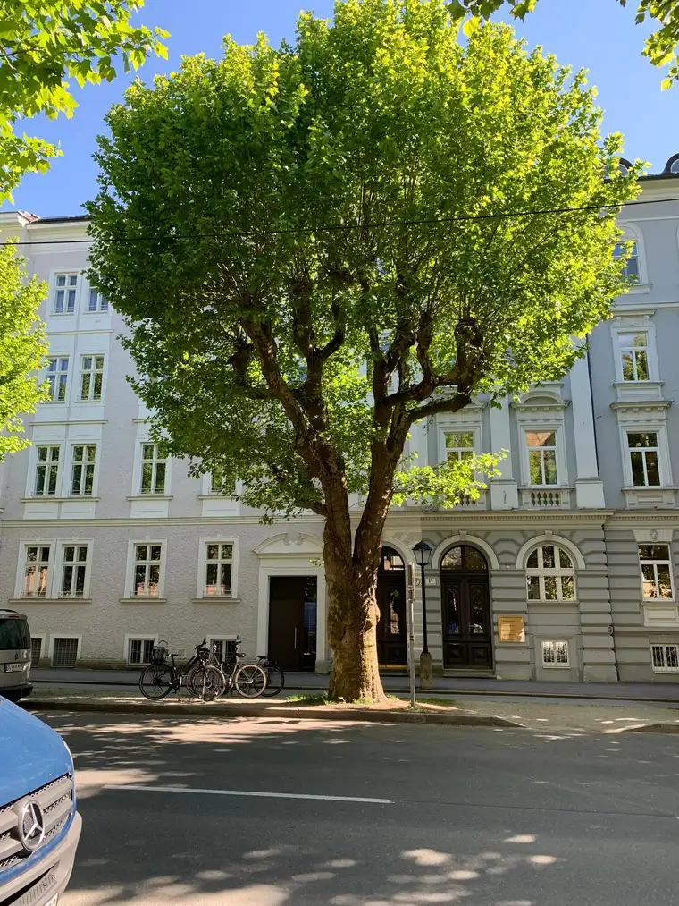 Feldstein Immobilien GmbH, Feldstein Immobilien