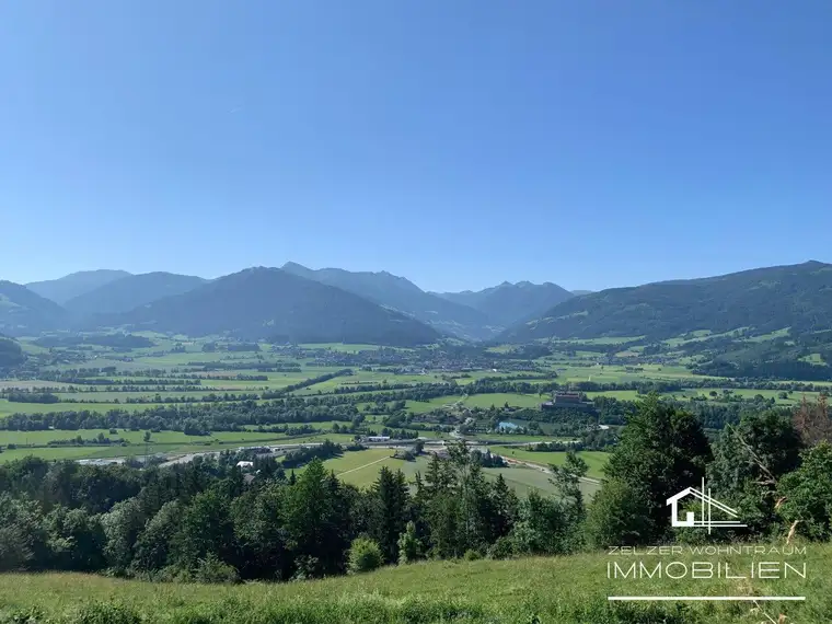 Hannelore Zelzer, Zelzer Wohntraum Immobilien eU