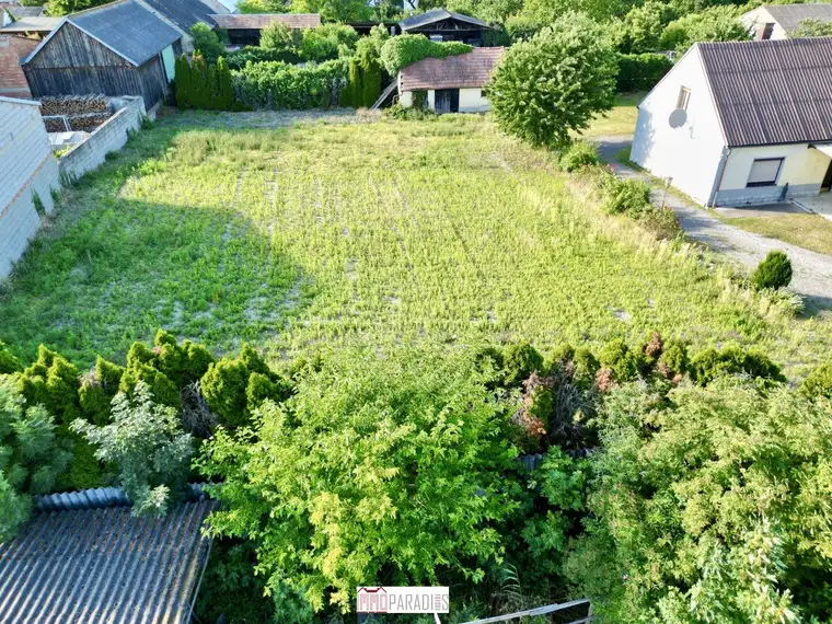 Großzügiges Grundstück mit Altbestand in Kittsee, Bezirk Neusiedl am See