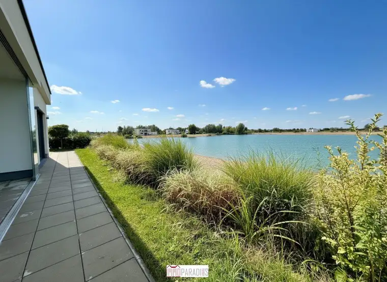 Dieter Löb, Immoparadies GmbH