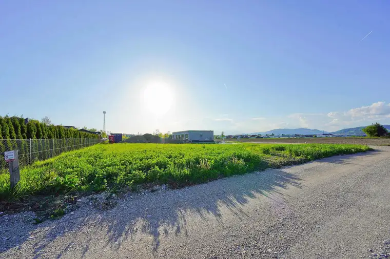 Ebene Grundstücke in sonnig ruhiger Lage Nähe Klopeiner See (nur noch 3 Grundstücke verfügbar!)