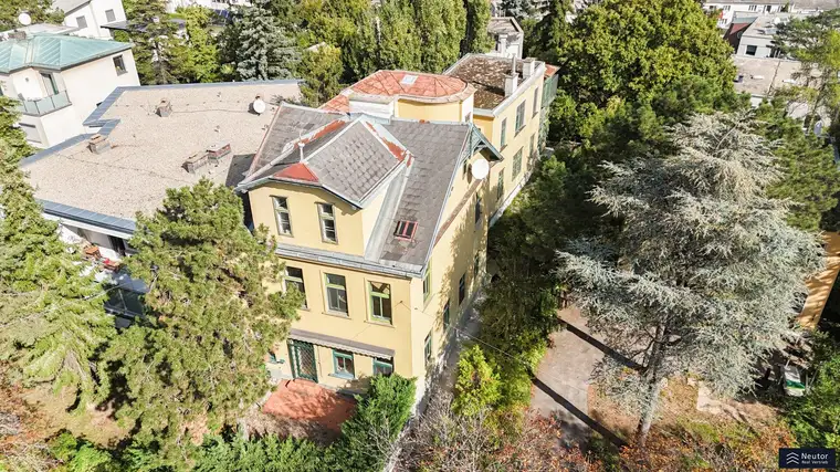 Daniel Hausberger, Neutor Real GmbH